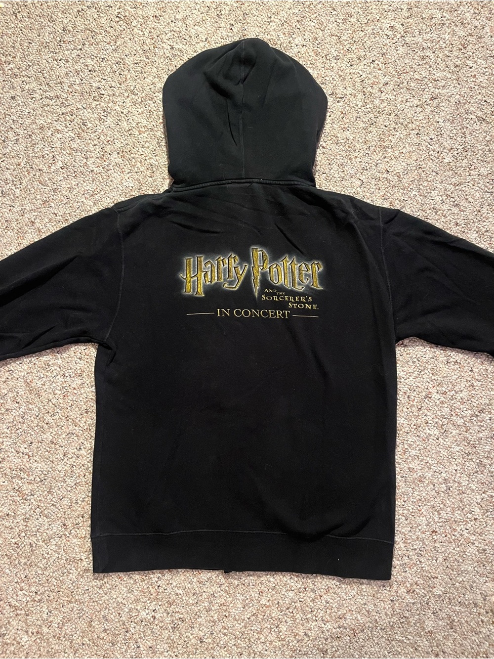 Harry Potter 'In Concert' Black Graphic Hoodie